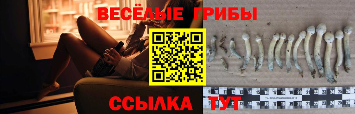 Псилоцибиновые грибы мицелий  Вход с VPN  Боровичи 